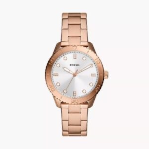 Fossil Dayle Reloj BQ3886 Análogo