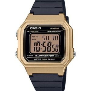 CASIO W-217HM-9AV