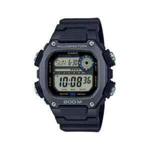 Casio DW-291HX-1A