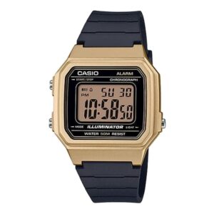 Casio W-217HM-9AV