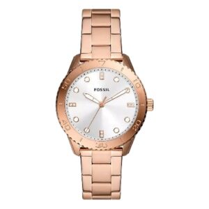 Fossil Dayle BQ3886 Análogo